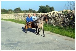 Men riding in a horse-drawn cart.