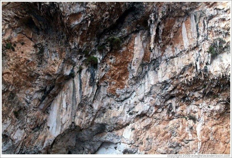 Stalactites, Blue Grotto. 