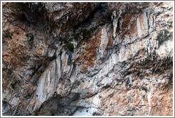 Stalactites, Blue Grotto. 