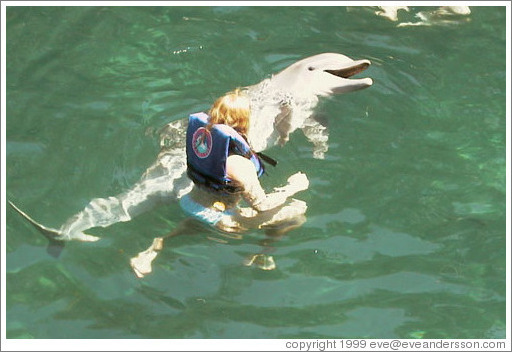 Eve swims with the dolphins. Xcaret.