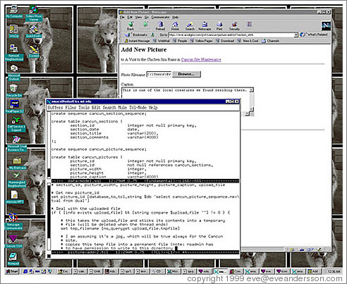 In case you're curious, this gives you an idea of the backend of the site. (Note that the web server runs on Unix -- I'm just using this Win NT computer as a terminal!)