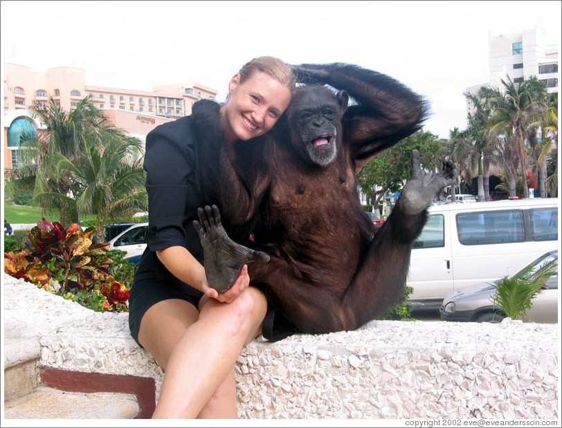 Eve and Coco, a sweet chimpanzee.