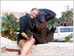 Eve and Coco, a sweet chimpanzee.