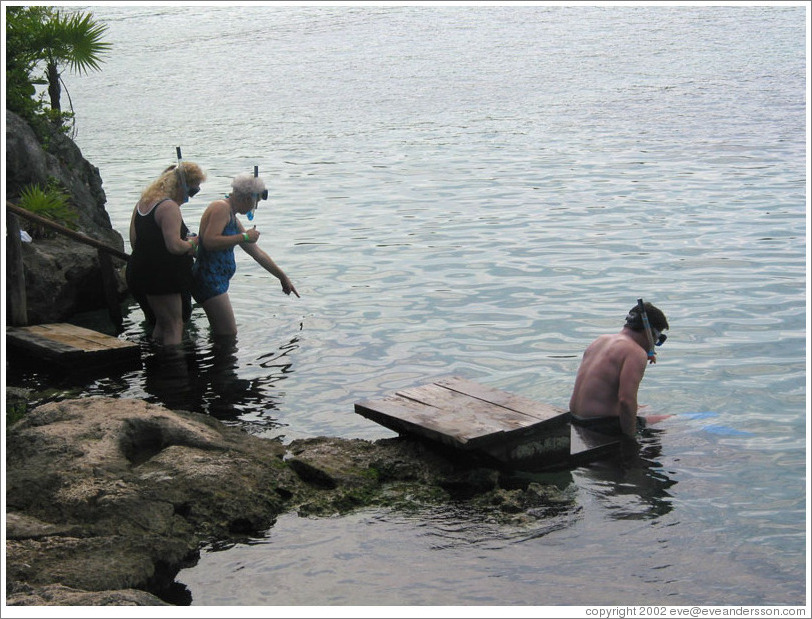 Snorklers pointing at fish.