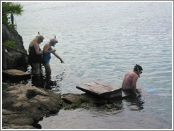 Snorklers pointing at fish.