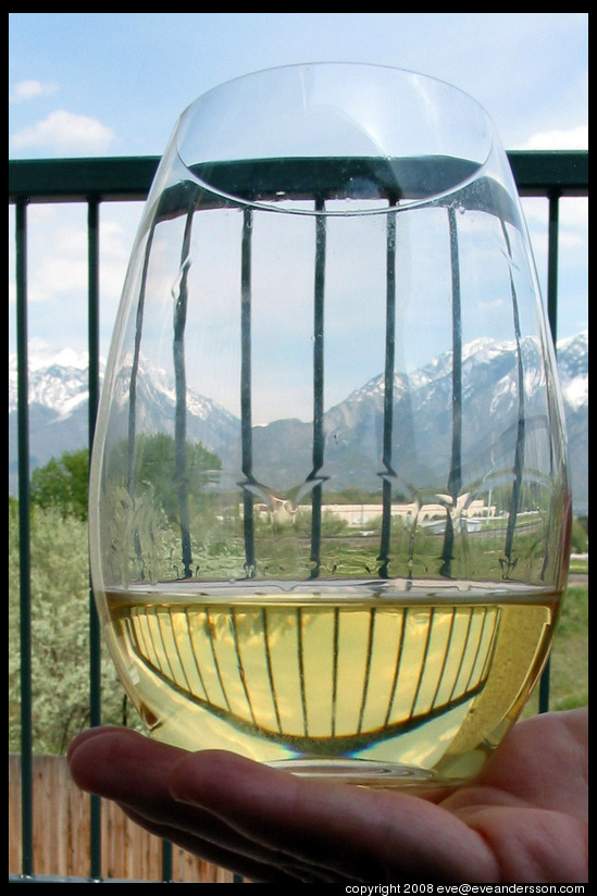 Riedel wine glass on balcony.