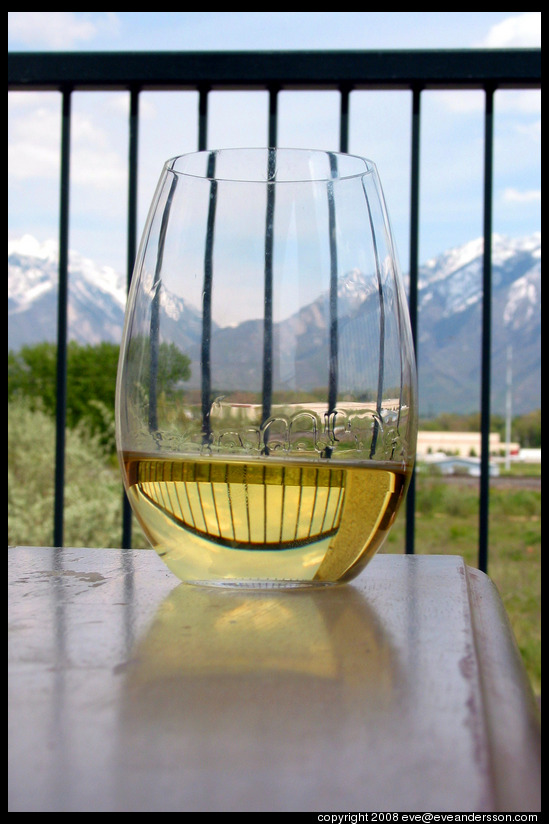 Riedel wine glass on balcony.