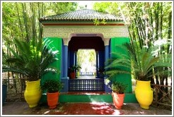 Jardin Majorelle.