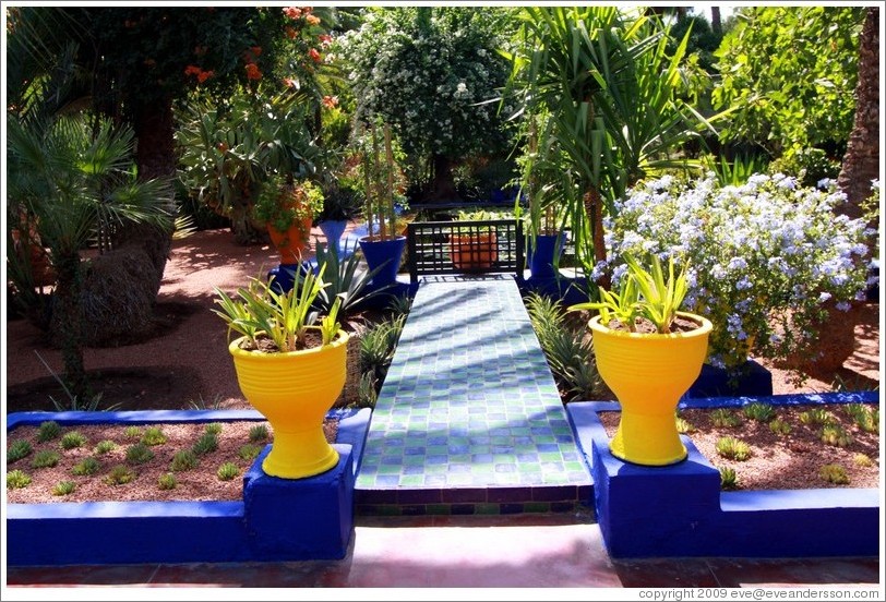 Jardin Majorelle.