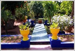 Jardin Majorelle.