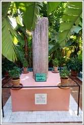 Memorial for Yves saint Laurent, Jardin Majorelle.