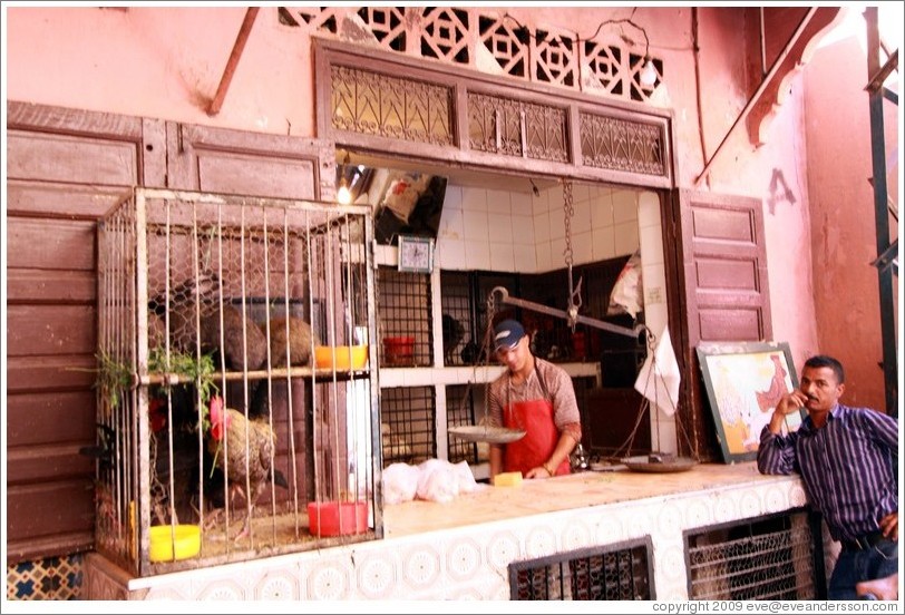 Vendor of animals, including rabbits and chickens, in the Medina.