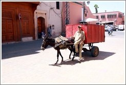 Man with a donkey on a street in the Medina.