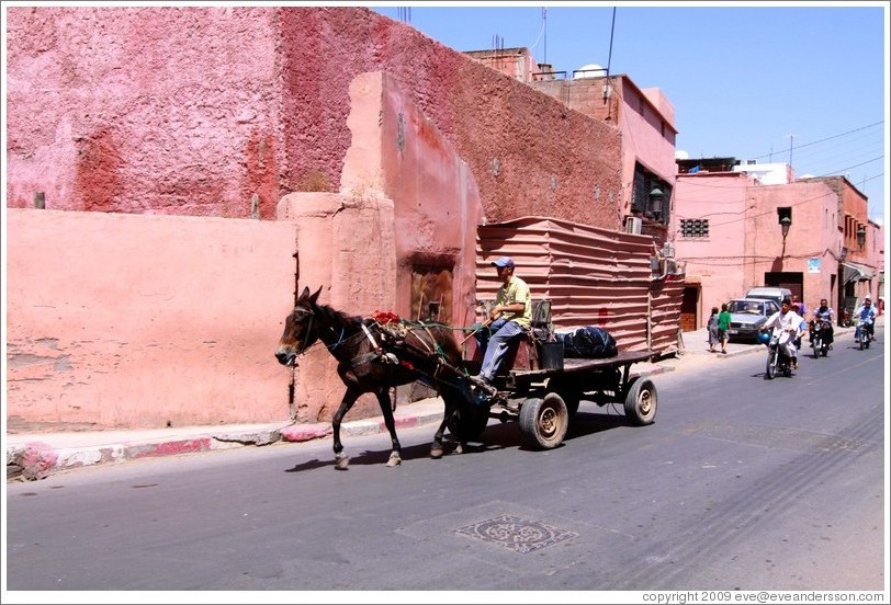 Man with a horse on a street in the Medina.