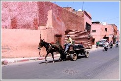 Man with a horse on a street in the Medina.