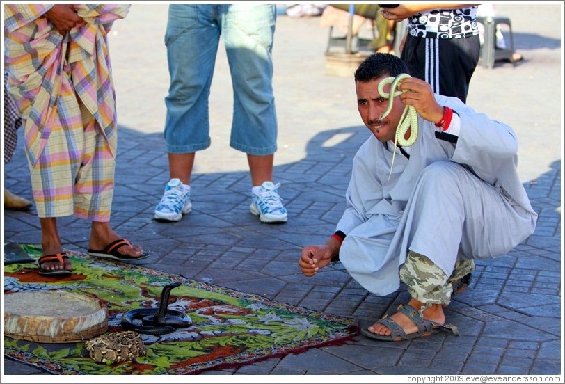 Snake charmer, Jemaa el Fna.