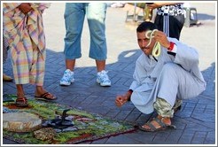 Snake charmer, Jemaa el Fna.