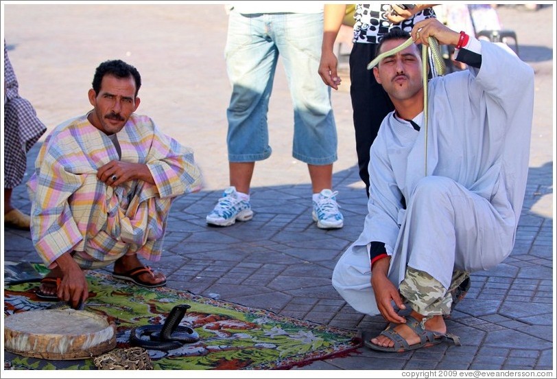 Snake charmers, Jemaa el Fna.