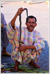 Snake charmer, Jemaa el Fna.