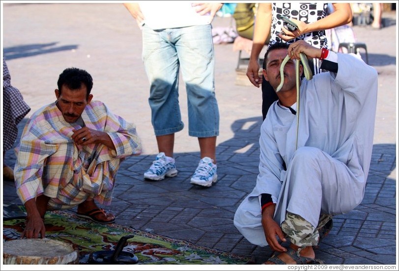 Snake charmer, Jemaa el Fna.