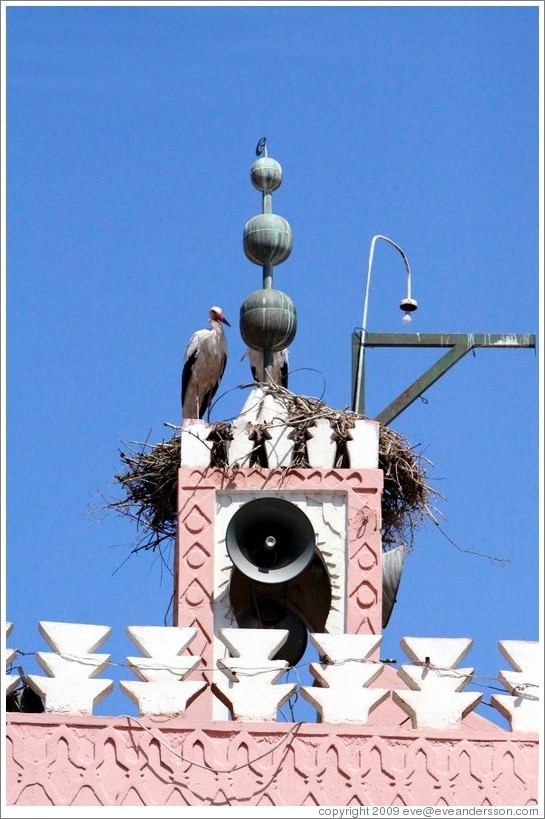 Stork on the tower of a mosque.