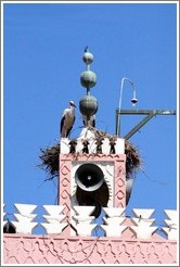 Stork on the tower of a mosque.