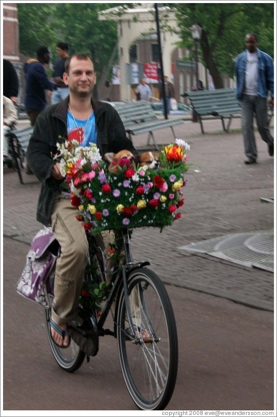 Man on bicycle with flowers and dogs.