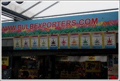 Cannabis seeds, Bloemenmarkt (Flower Market), Centrum district.