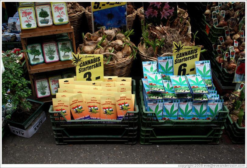 Cannabis starter kit, Bloemenmarkt (Flower Market), Centrum district.