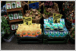 Cannabis starter kit, Bloemenmarkt (Flower Market), Centrum district.