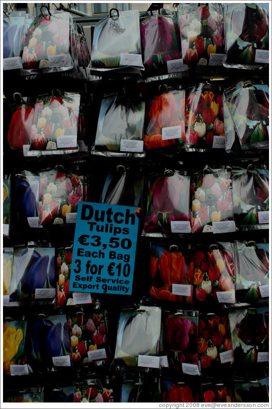 Tulip seeds, Bloemenmarkt (Flower Market), Centrum district.