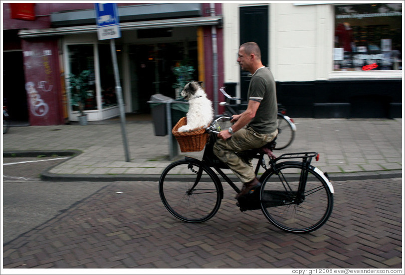 Bicyclist with dog in basket.