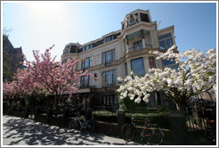 Douwes Fine Art, with blossoming trees. Stadhouderskade, Museumplein.