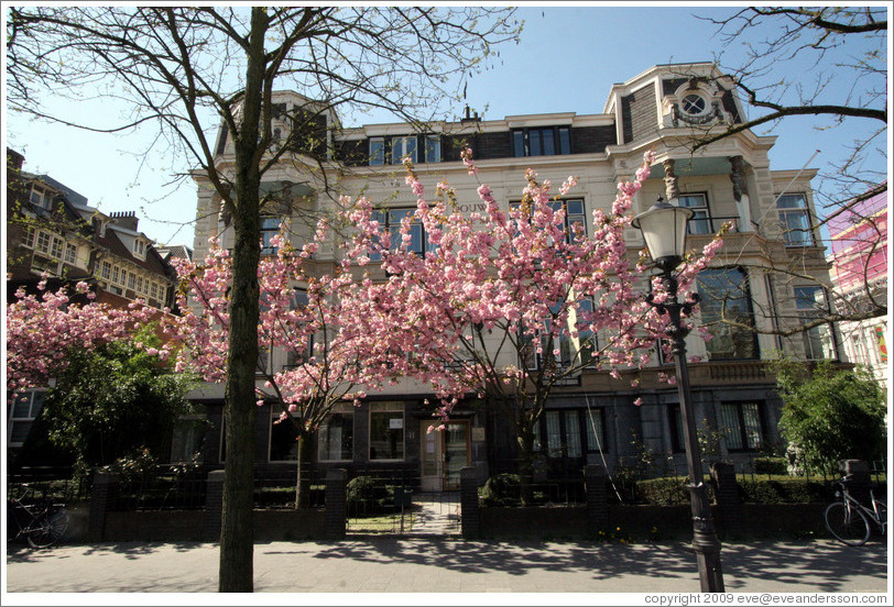 Douwes Fine Art, with blossoming trees. Stadhouderskade, Museumplein.