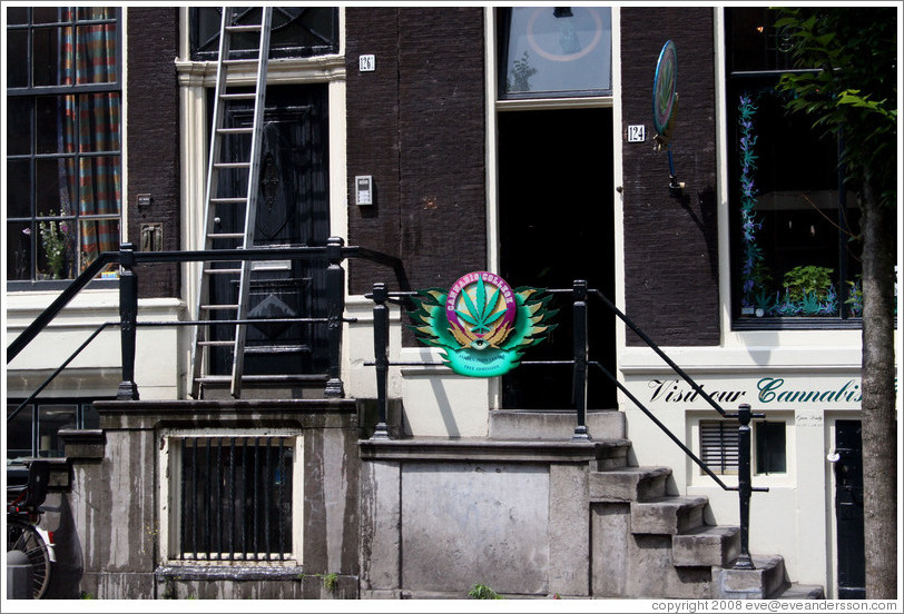 Cannabis College on Oudezijds Achterburgwal, Red Light district.