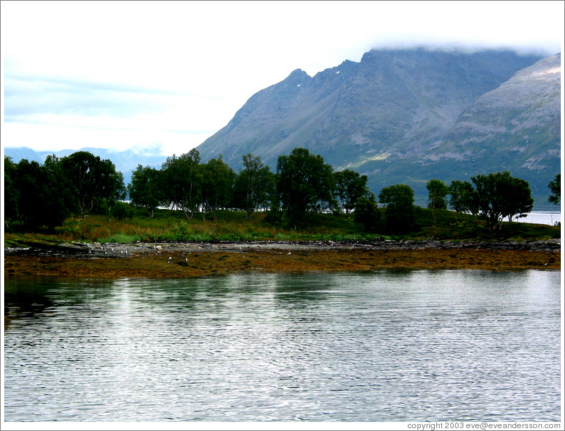 Fjords.