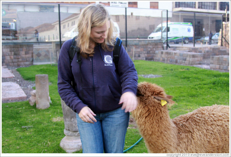 Eve being playfully bitten by Kusi, a young alpaca, at Kusikancha, an Inca site in central Cusco.