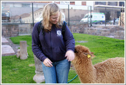 Eve being playfully bitten by Kusi, a young alpaca, at Kusikancha, an Inca site in central Cusco.