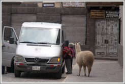 Kids and an alpaca. Calle Maruri.