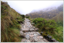 Inca Trail.