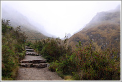 Inca Trail.