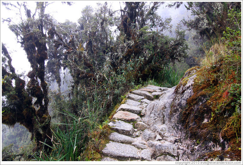 Inca Trail.