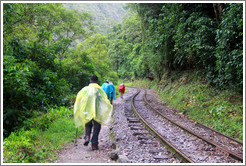 Hikers walking along the train tracks.