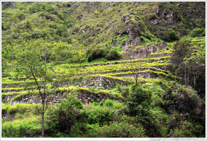 Ruins at the side of the Inca Trail.