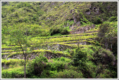 Ruins at the side of the Inca Trail.