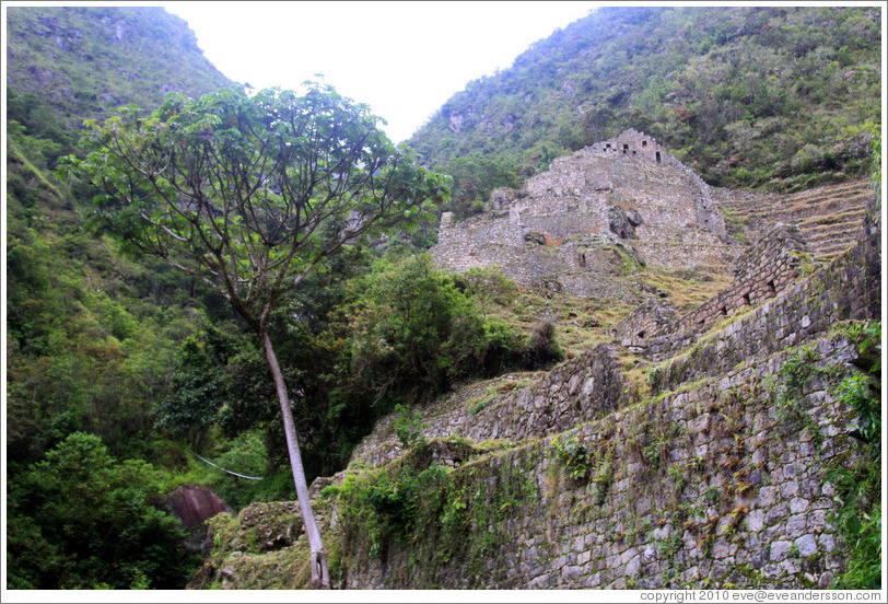 Ruins at the side of the Inca Trail.