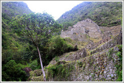 Ruins at the side of the Inca Trail.