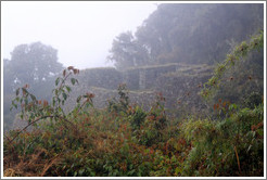 Ruins at the side of the Inca Trail.