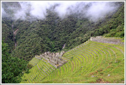 Wi?Wayna ruins, near the Inca Trail.