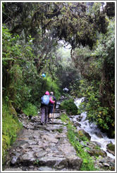 Hikers on the Inca Trail.